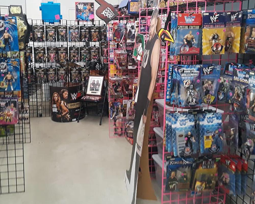 Hasttel Toy & Collectibles – Long Island - Toy Store Guide